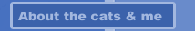 About the cats & me