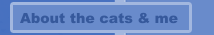 About the cats & me
